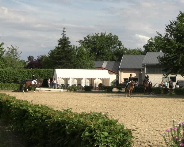 Reitturnier Olfen-Vinnum 2022
