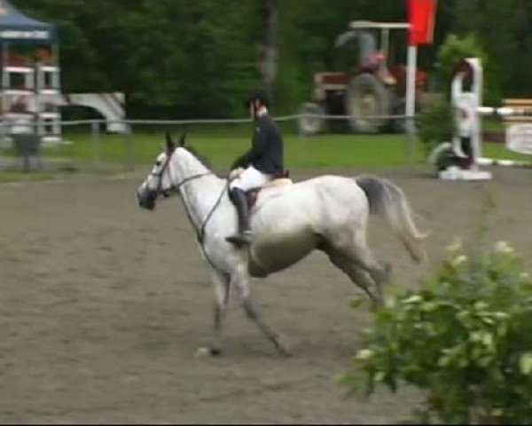 jumper Piane du Haut (Selle Français, 2003, from Canaletto)