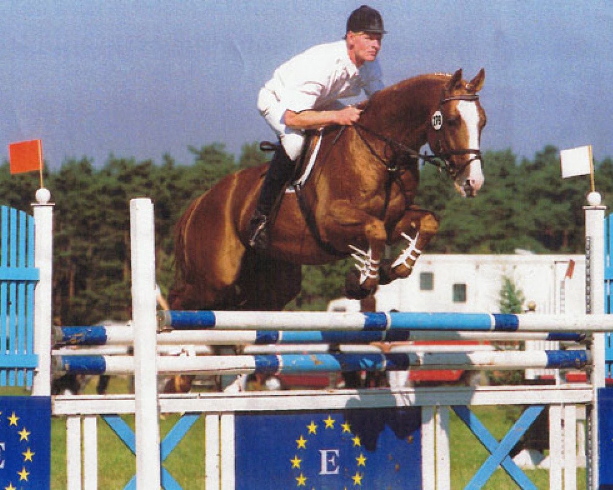 stallion Graziello (Trakehner, 1991, from Amiego)