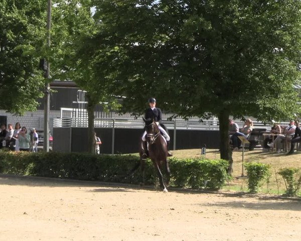 Reitturnier Olfen-Vinnum 2022
