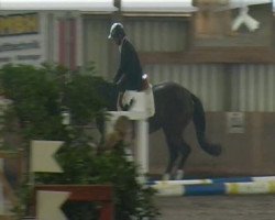 jumper S - Cinderella - J (Holsteiner, 2002, from Coriano)
