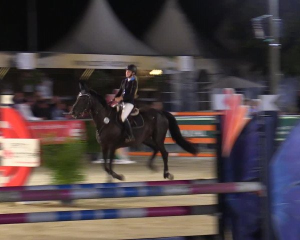 Reitturnier Olfen-Vinnum 2022
