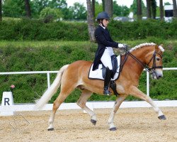 dressage horse Aston Martin (Belgian Warmblood, 2010, from Hengst von Amethist van de Heksenketel)