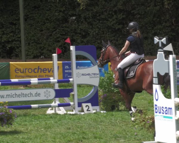 Reitturnier Nussbach 2022