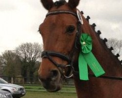 dressage horse La vie est belle (Westphalian, 2001, from Lamoureux II)