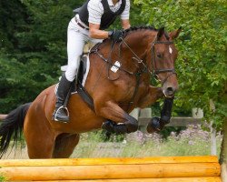 jumper Rayonne (Rhinelander, 2005, from Raikano)