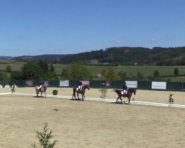 Reitturnier Lindlar-Süttenbach 2022