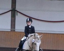 dressage horse Arku (unknown, 1996)