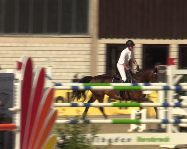 Reitturnier Olfen-Vinnum 2022