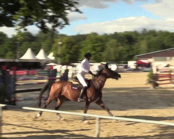 Reitturnier Olfen-Vinnum 2022