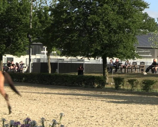 Reitturnier Olfen-Vinnum 2022