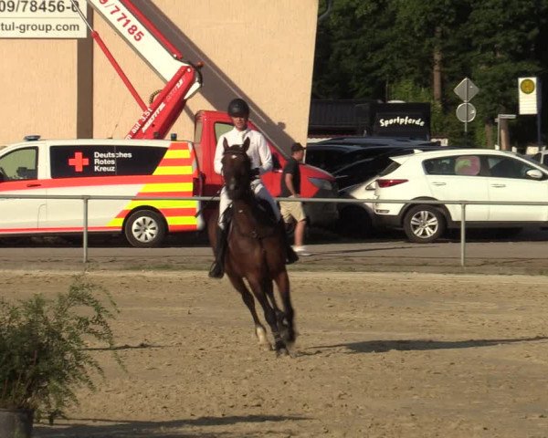 Reitturnier Olfen-Vinnum 2022