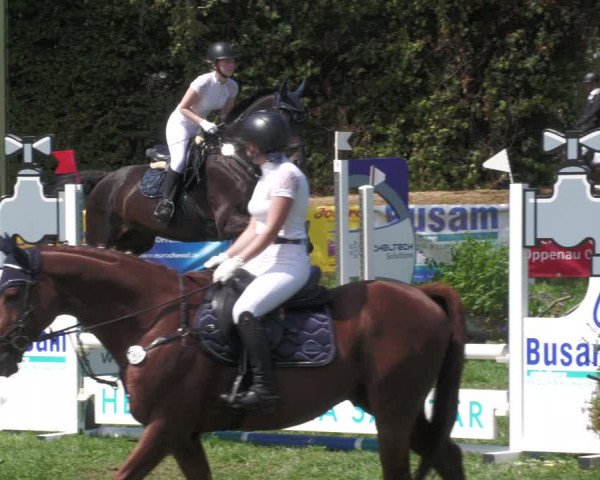 Reitturnier Nussbach 2022