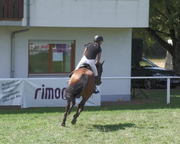 Reitturnier Nussbach 2022
