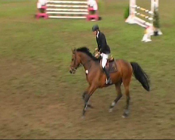 broodmare Cora (German Warmblood, 2004, from Cool Man)