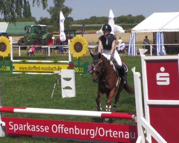 Reitturnier Nussbach 2022