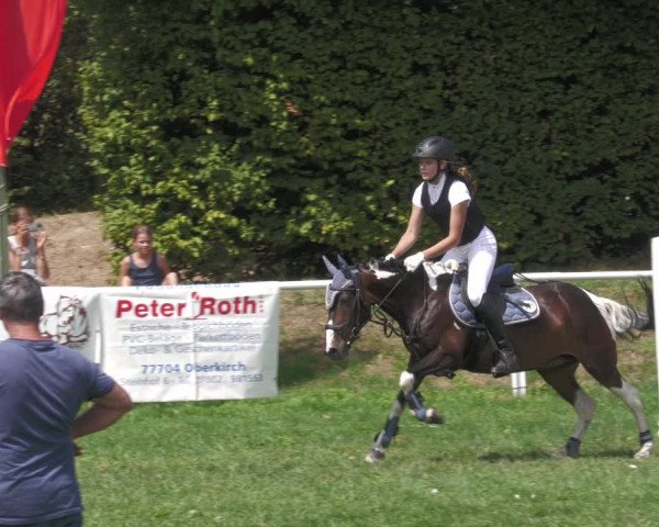 Reitturnier Nussbach 2022