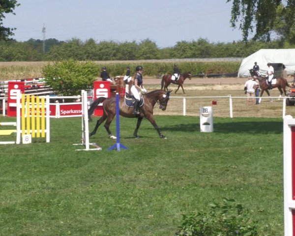 Reitturnier Nussbach 2022