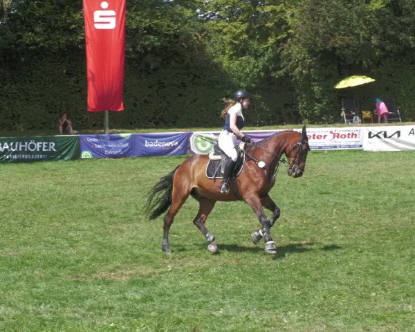 Reitturnier Nussbach 2022