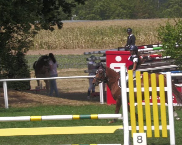 Reitturnier Nussbach 2022