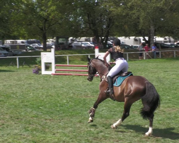 Reitturnier Nussbach 2022