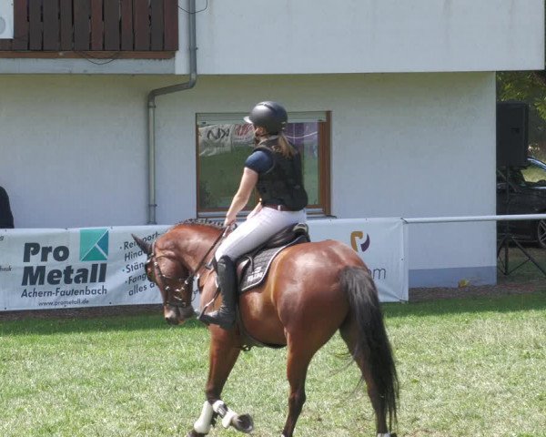 Reitturnier Nussbach 2022