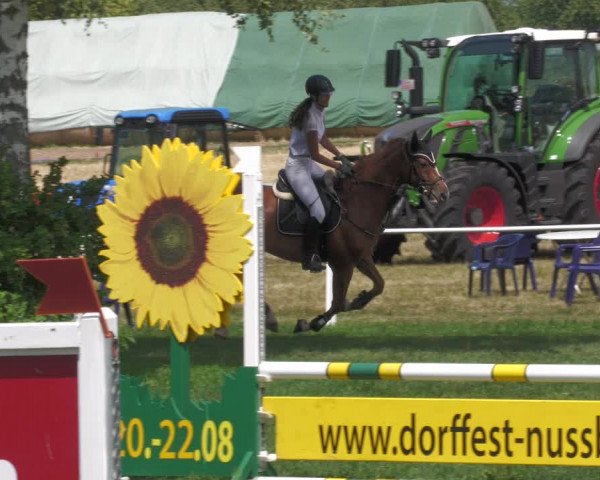 Reitturnier Nussbach 2022
