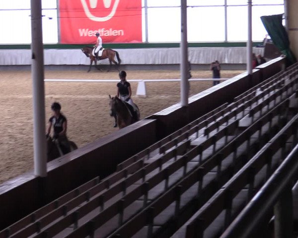 Stutenleistungsprüfung in Münster-Handorf 2022