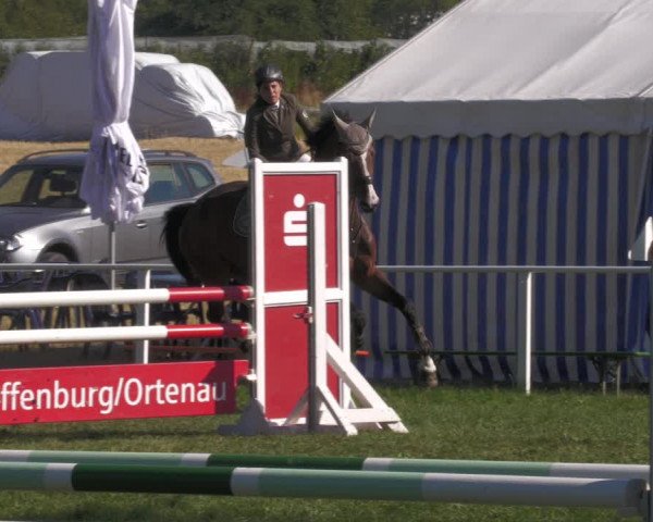Reitturnier Nussbach 2022