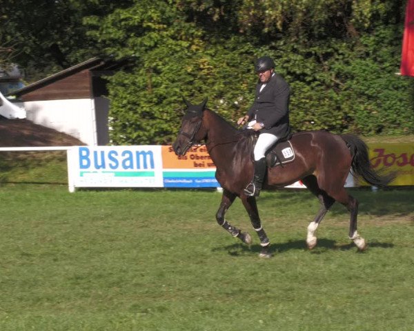 Reitturnier Nussbach 2022