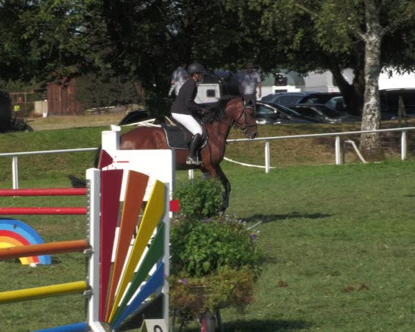 Reitturnier Nussbach 2022