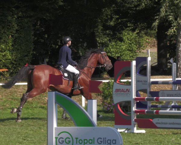 Reitturnier Nussbach 2022