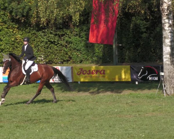 Reitturnier Nussbach 2022