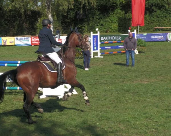 Reitturnier Nussbach 2022