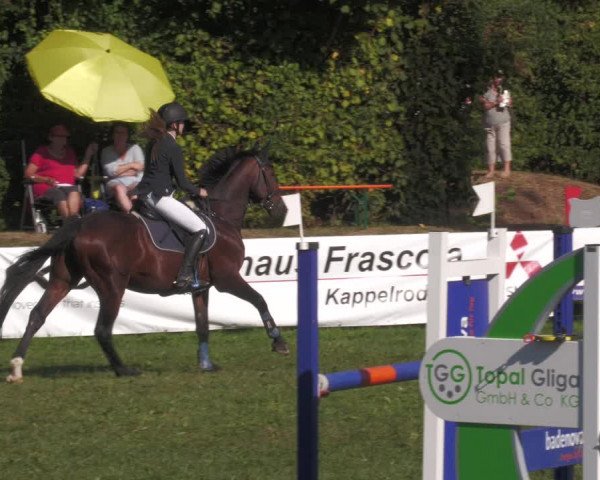 Reitturnier Nussbach 2022