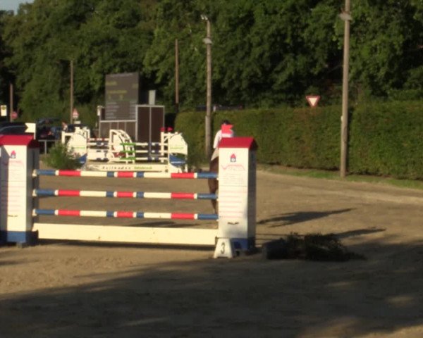 Reitturnier Olfen-Vinnum 2022