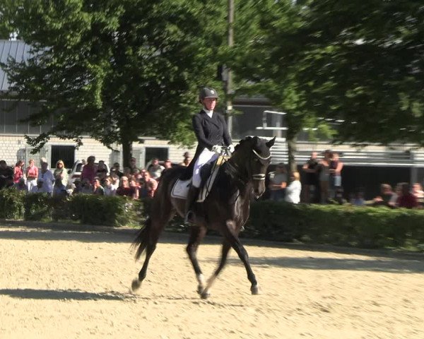 Reitturnier Olfen-Vinnum 2022