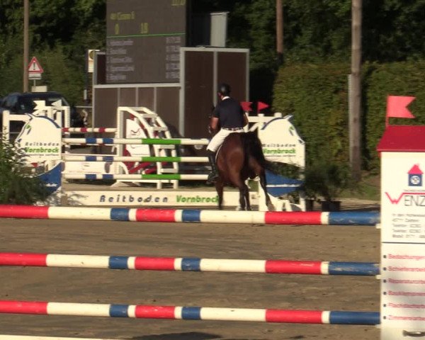 Reitturnier Olfen-Vinnum 2022
