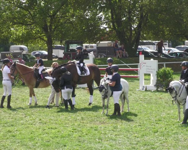 Reitturnier Nussbach 2022
