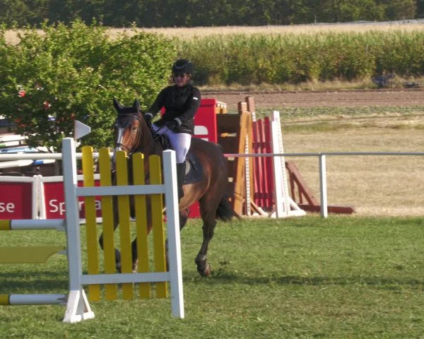 Reitturnier Nussbach 2022