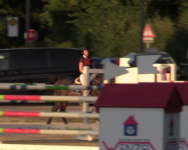 Reitturnier Olfen-Vinnum 2022