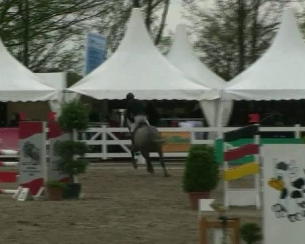 jumper Lorana 17 (Holsteiner, 2007, from Loran)