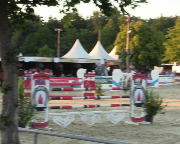 Reitturnier Olfen-Vinnum 2022
