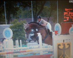 jumper Blue Nature (Swiss Warmblood, 1999, from Reichsgraf)