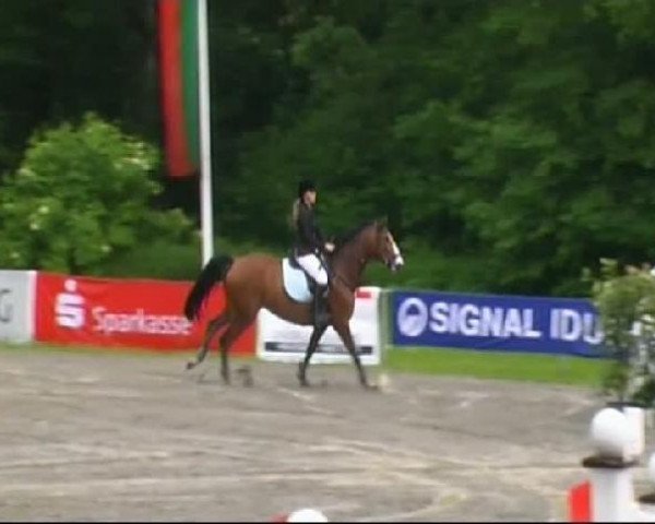 jumper Fatina (Oldenburg, 2004, from Zatinus)