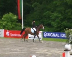 jumper Fatina (Oldenburg, 2004, from Zatinus)