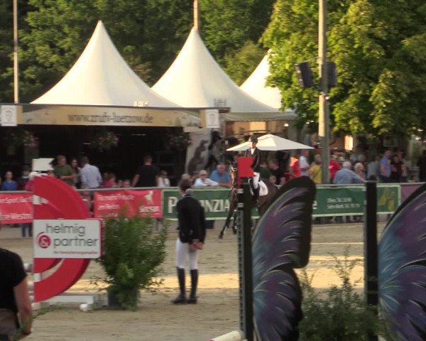 Reitturnier Olfen-Vinnum 2022