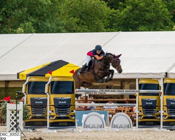 jumper First Vleut (KWPN (Royal Dutch Sporthorse), 2010, from Guccio)