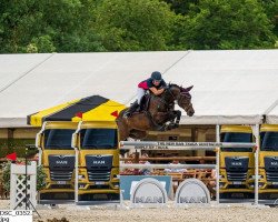 jumper First Vleut (KWPN (Royal Dutch Sporthorse), 2010, from Guccio)