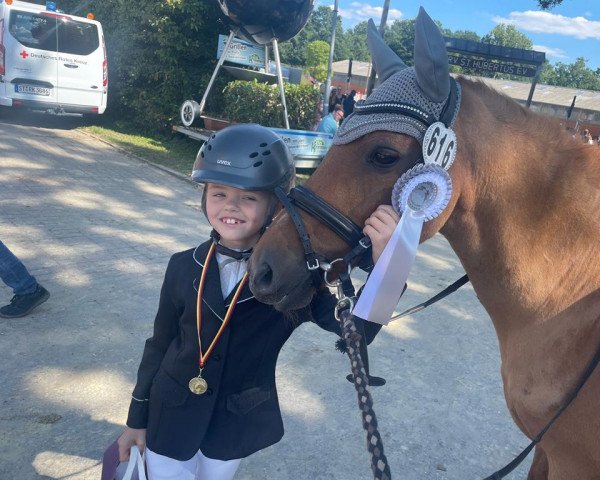 dressage horse Nemo (German Riding Pony, 1997, from Navaro)